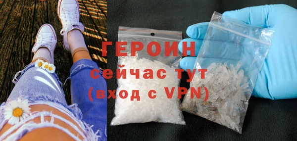 сатива Ростов