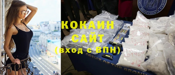 прущие грибы Россошь